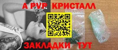 гидра Будённовск
