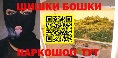 гидра Будённовск