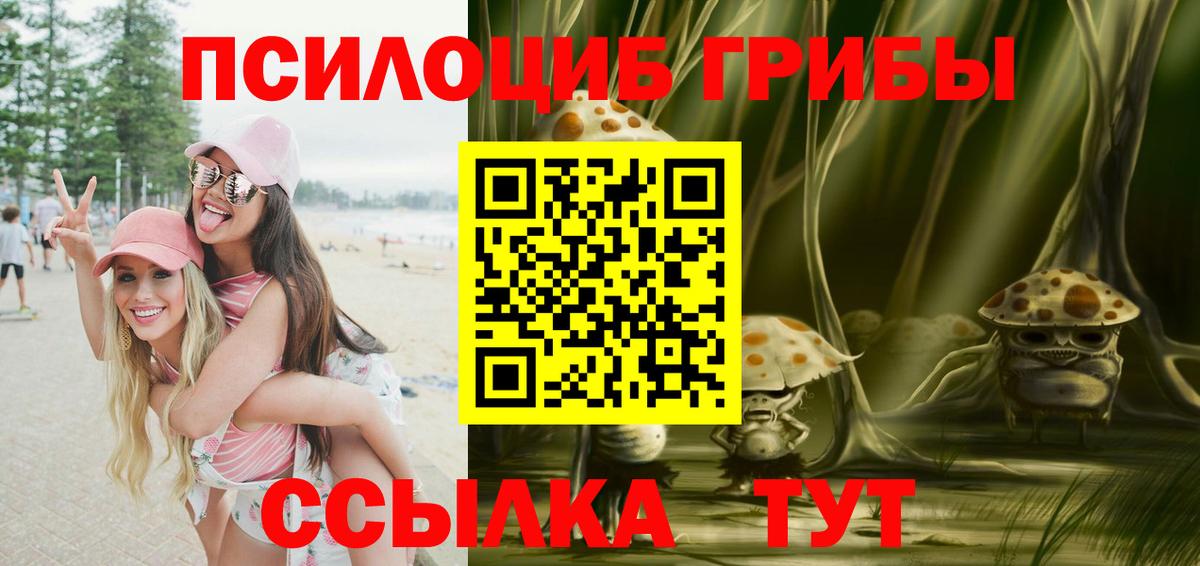 Псилоцибиновые грибы прущие грибы  Вход с VPN  Старая Купавна 